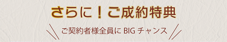 さらに超豪華